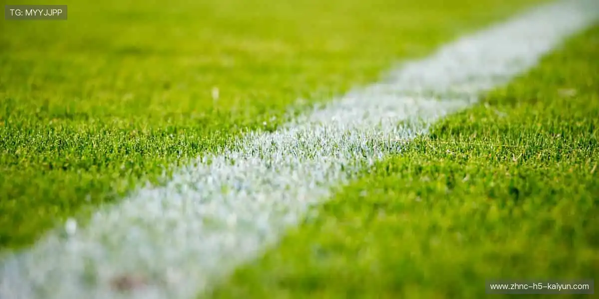 📺 随时随地，想看就看，体育直播让精彩永不掉线！